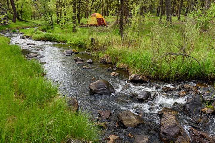 Best Fall Camping Adventures To Do Right Now!
