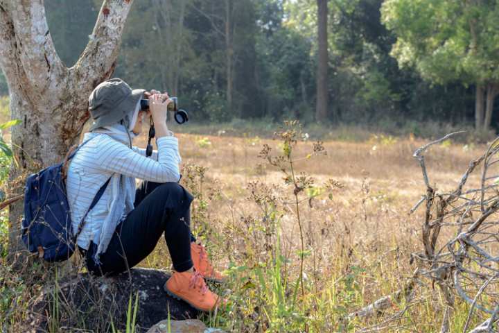 5 Best Birdwatching Hikes in Georgia