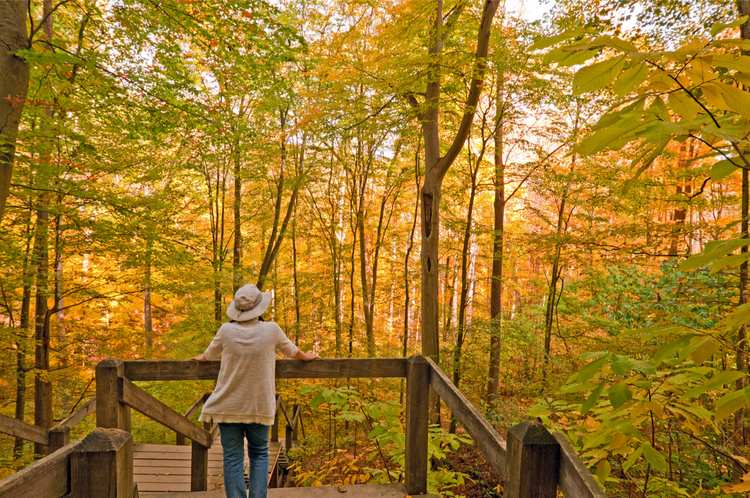 5 Beautiful Scenic Hikes in Indiana