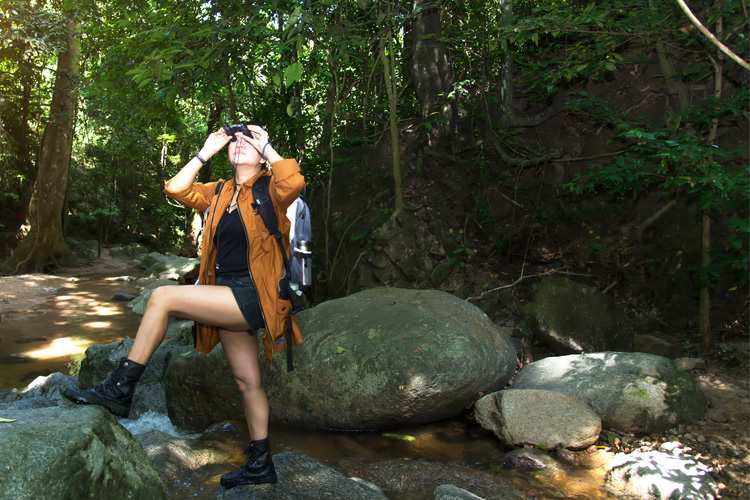 5 Best Birdwatching Hikes in Tennessee